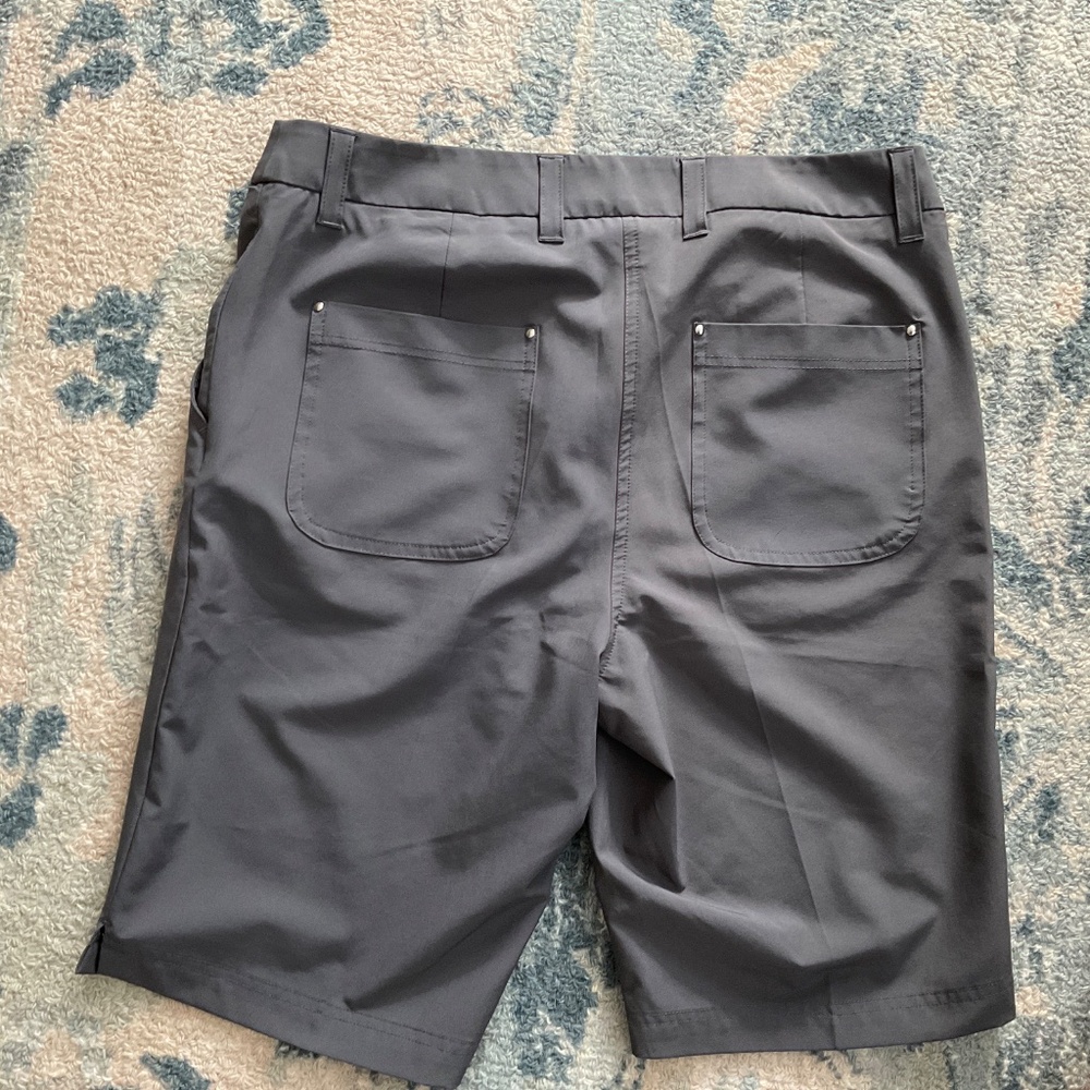 Zyia Gray Shorts - Picture 2 of 3